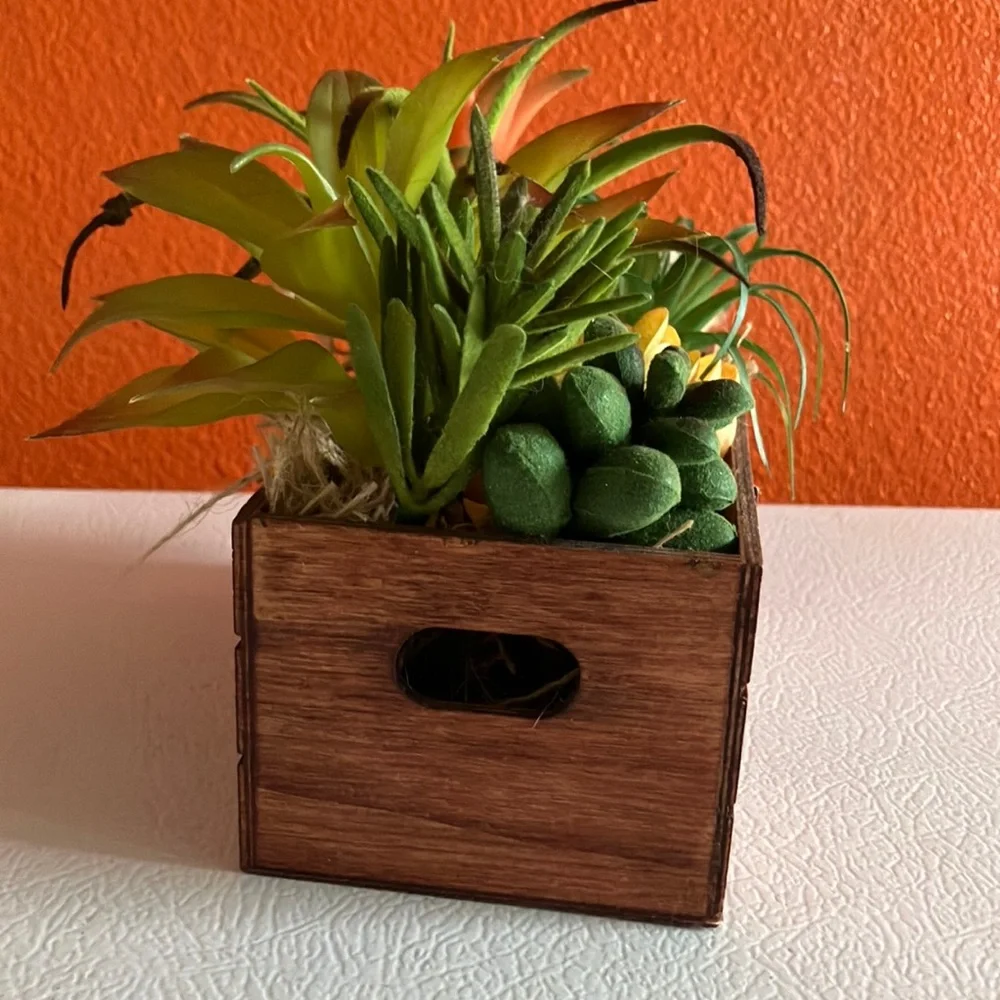 Wooden Planter Box‎ with Faux Succulents